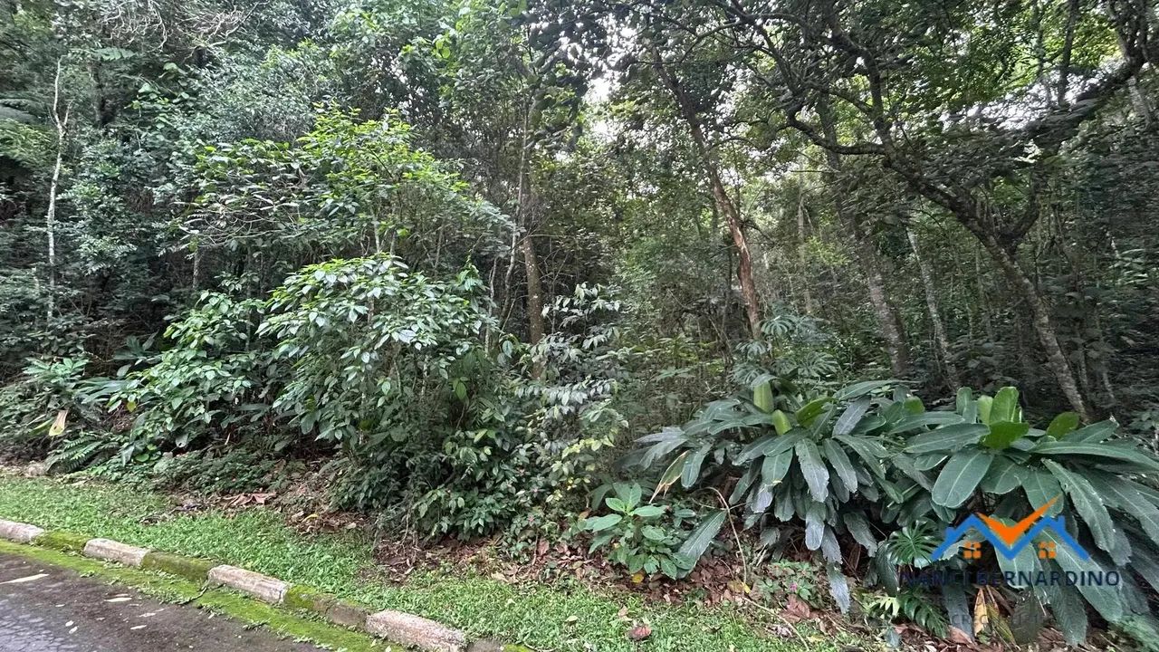 Lindo lote com vista para o lago, confira ! - Foto 4