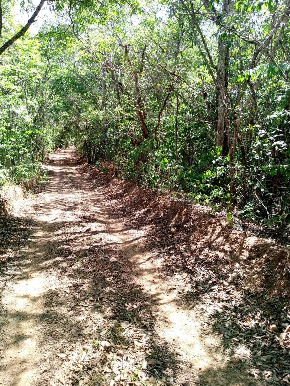 Chacara em Abadiania Documentada R$250000,00 - Foto 4
