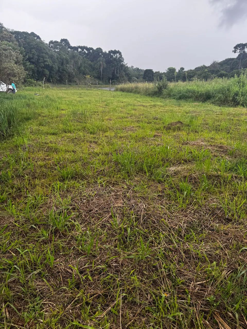 Terreno 732 m2 - São Caetano - Balsa nova Pr - Foto 3
