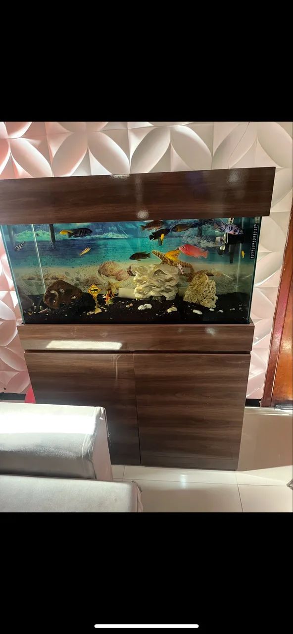 aquário 200 L completo com móvel?  - Foto 6