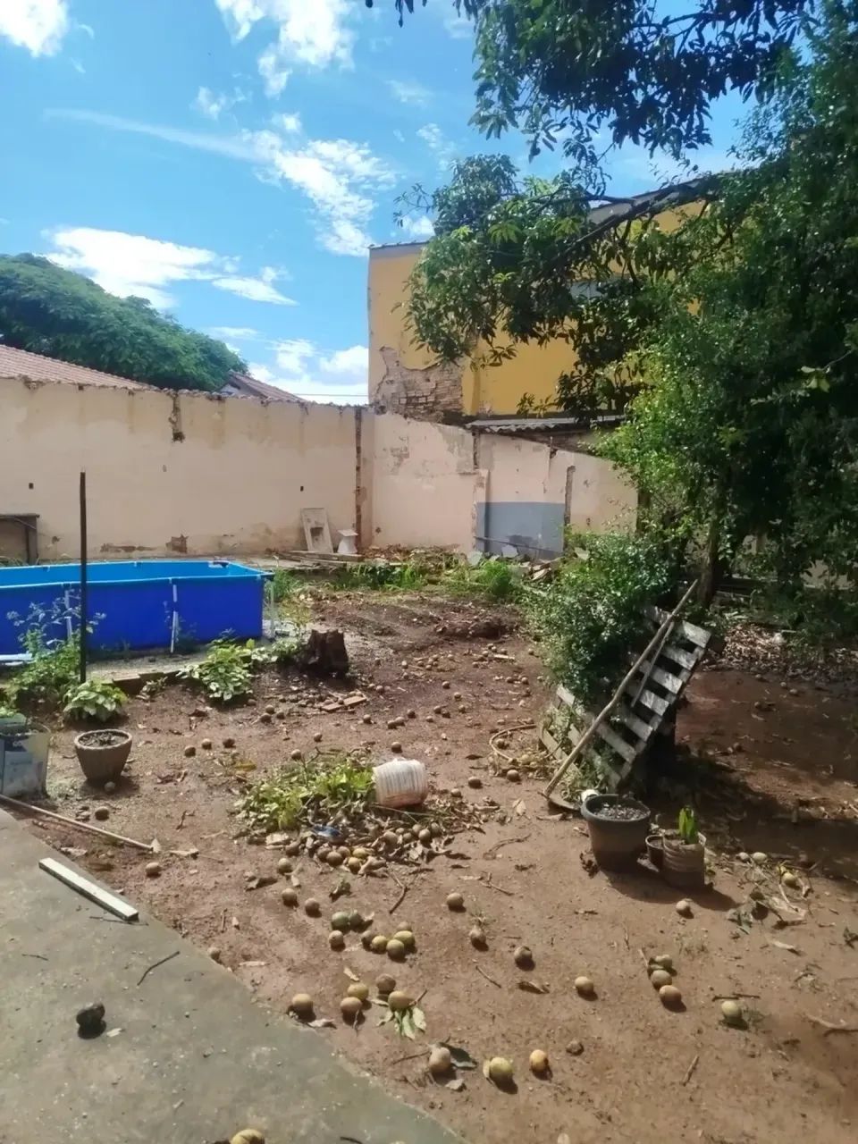 Lote com barracão no Tirol/ Barreiro - Foto 3