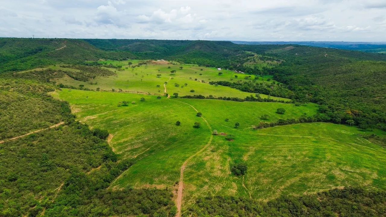 Fazenda santo Antonio do descoberto  - Foto 4