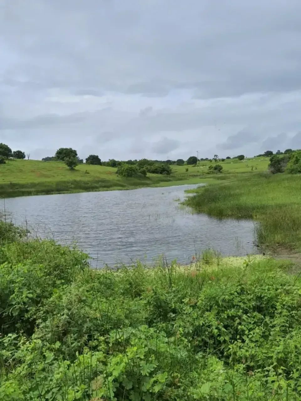 Fazenda com 30 hectares na região de Monte Alegre