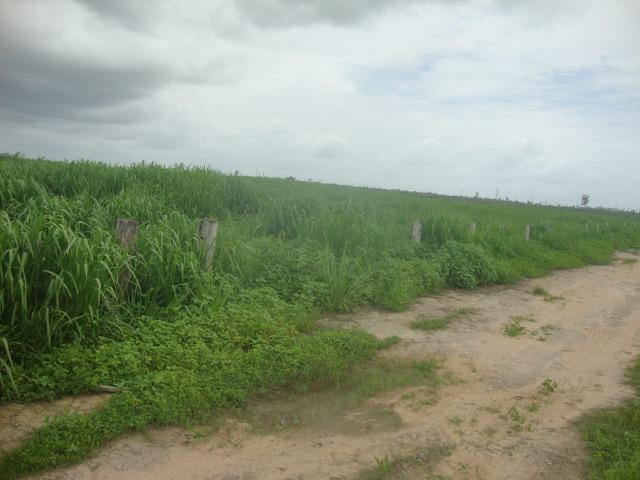 80 km do asfalto, Itinga-MA. 221 alqueires - Foto 6