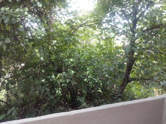 Casa à venda, 3 quartos, 3 vagas, novo das indústrias - belo horizonte/mg - Foto 9