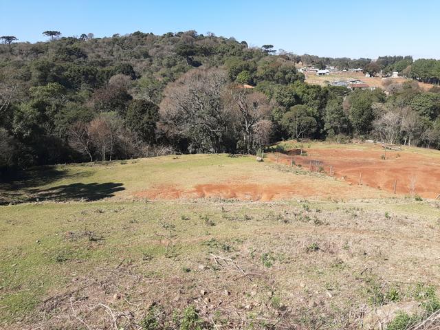Terreno de 9.761 m² Guarapuava PR . px da Polijuta - Foto 10
