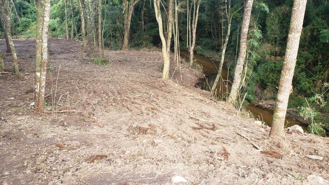 Chácara Agudos do Sul - 50 mts da Br c/ Tanque e rio - Foto 14