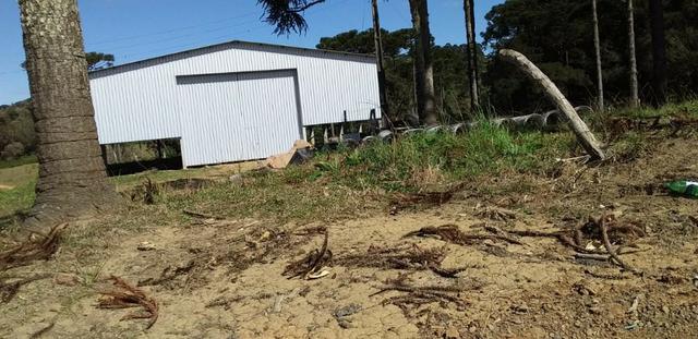 Fazenda Para Plantio de Grãos, Área Mecanizável - Foto 20