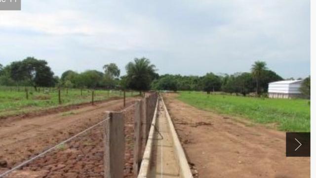 Sítio com estrutura de Fazenda - Foto 13
