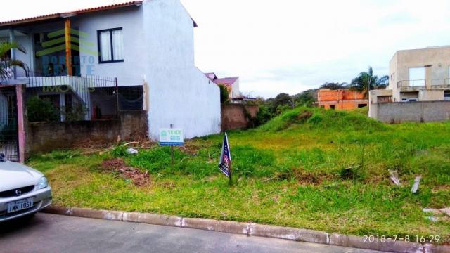 Terreno, Protásio Alves, Porto Alegre-RS - Foto 2