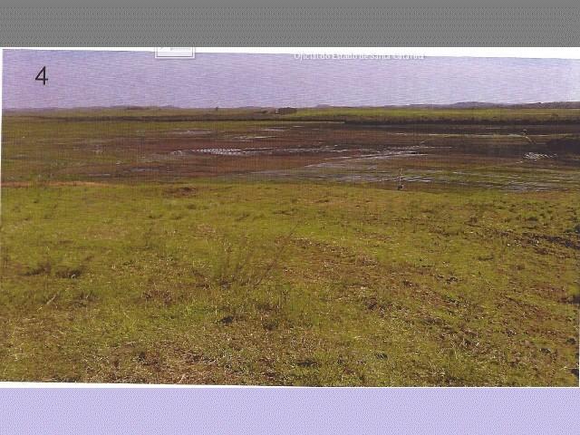 Alegrete (rs): Parte Da Fra?o De Campo; 25ha qwvsf rvjuw - Foto 5