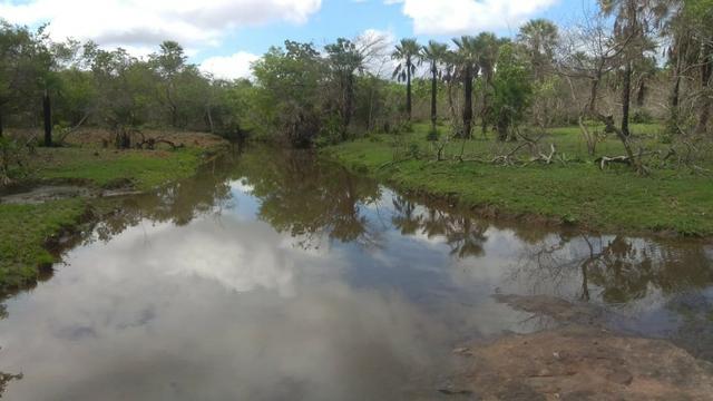 Fazenda com 140 hectares, linda casa, potencial para agropecuária e indústria de britagem - Foto 14