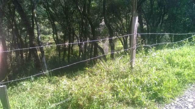 Terreno em Santa Barbara de Ana Reck - Foto 3