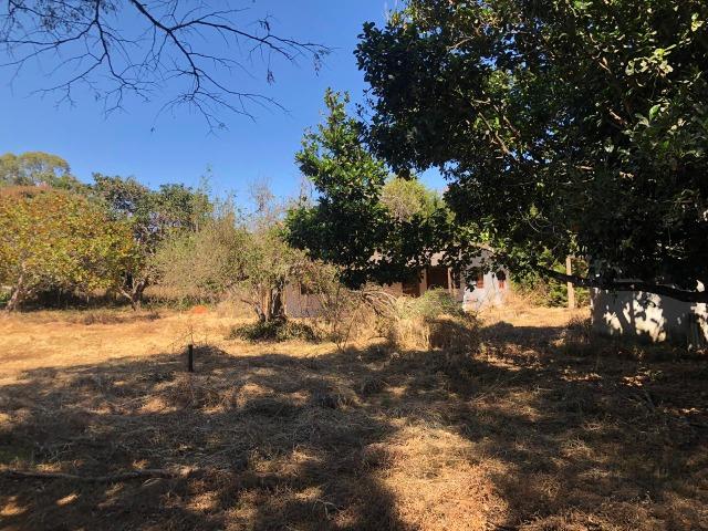 Excelente Lote / Terreno 3.000m2 SMDB conjunto 28 Lago Sul Lote Escriturado - Foto 7