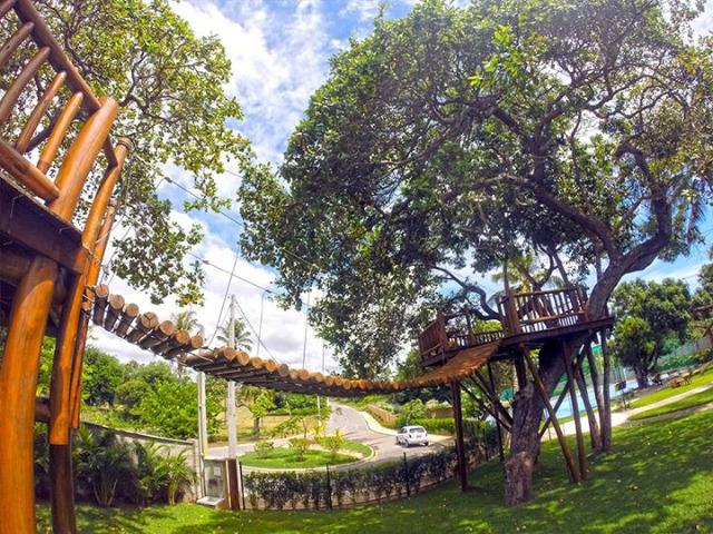 Lote - Bosque do Coqueiral - 360m² - (promoção) -SN - Foto 10