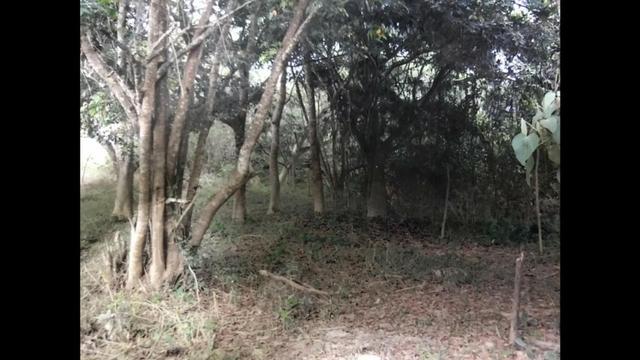 Chácaras em Luziânia à partir de 1.562 metros quadrados - Foto 8