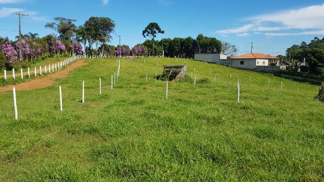97-Terreno próximo a são Paulo - Foto 7