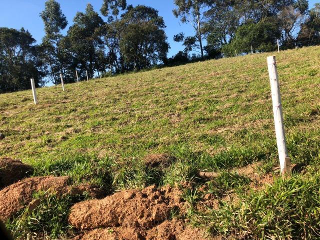 97-Terreno próximo a são Paulo - Foto 3