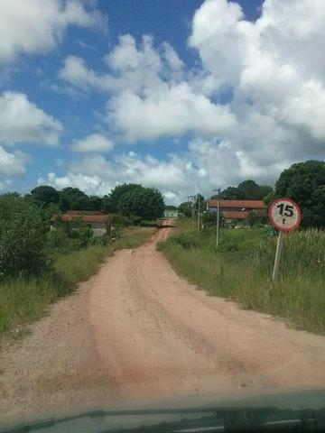 Fazenda e Cotas para Reposição Florestal - Foto 7