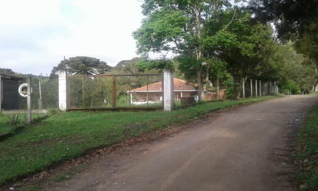 Vende-se chácara em Leão - Agudos do Sul (cód. A349 I) - Foto 7