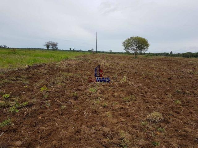 Fazenda à venda, por R$ 25.000.000 - Zona Rural - Humaita/AM