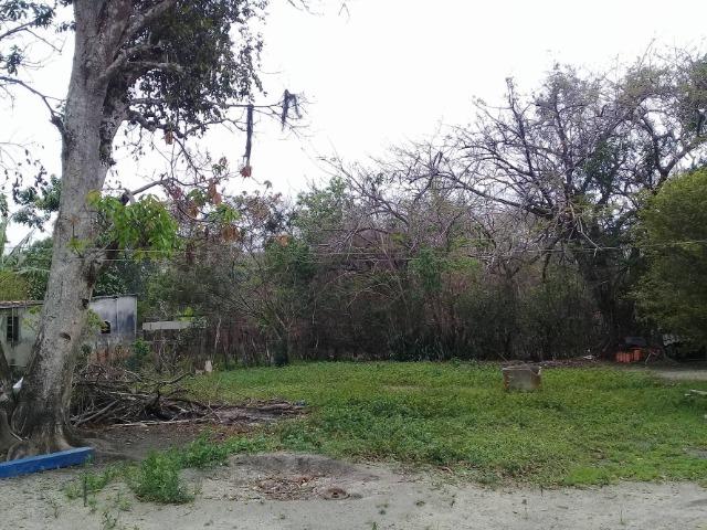 Sítio no bairro Chavão/Santo Antonio, Cabo Frio-RJ. 6.000m² - Foto 14