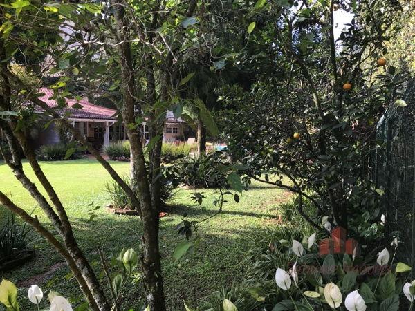 Excelente Casa c/4 Suítes no Quitandinha - Foto 18
