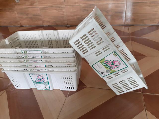 Vendo certinho 10kg