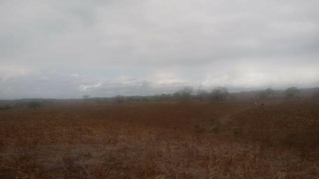Ótima propriedade de 120 hectares, 70% plana, em Gravatá-PE. Por apenas R$ 780 mil! - Foto 13