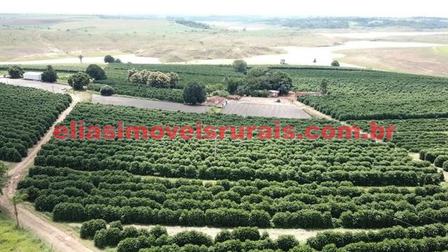Fazenda de café - 110.000 pés - Patrocínio - MG - Foto 7