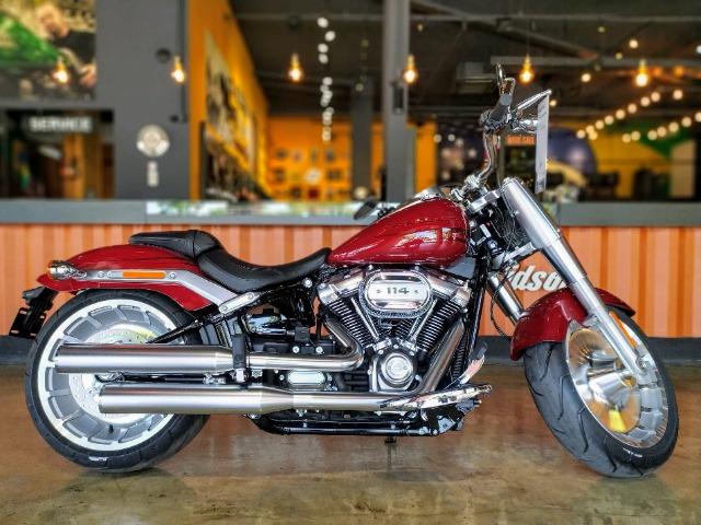 fatboy harley olx