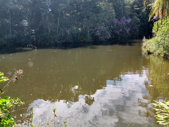 Sitio com 20.000 m²,bela casa,imenso lago e espaço para criações - Foto 6