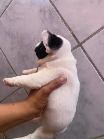 Vendo - Foto 4