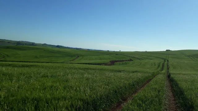 Fazenda 105 alqueiro  - Foto 4