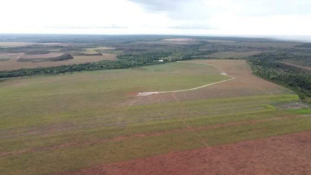 Fazenda em Rio Sono plantando lavoura. - Foto 2