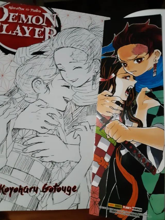 Demon Slayer Kimetsu No Yaiba, Livro Vol. 1 Ao 22