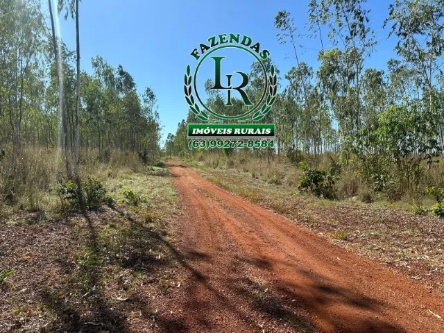Fazenda 17 alqueires Próximo a Cristalândia -TO