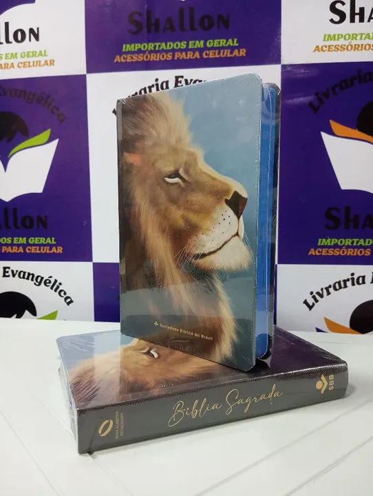 Bíblia Leão Em Oferta - Foto 2