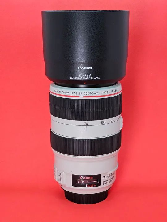 canon 300mm f4 canon 300mm f4