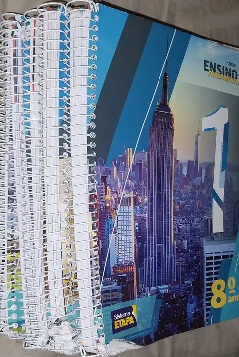 Livros Sistema etapa de ensino 8 ano 