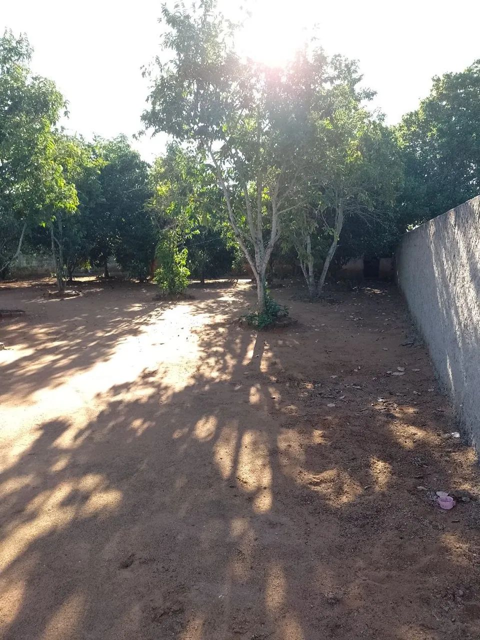 Chácara  - Foto 5