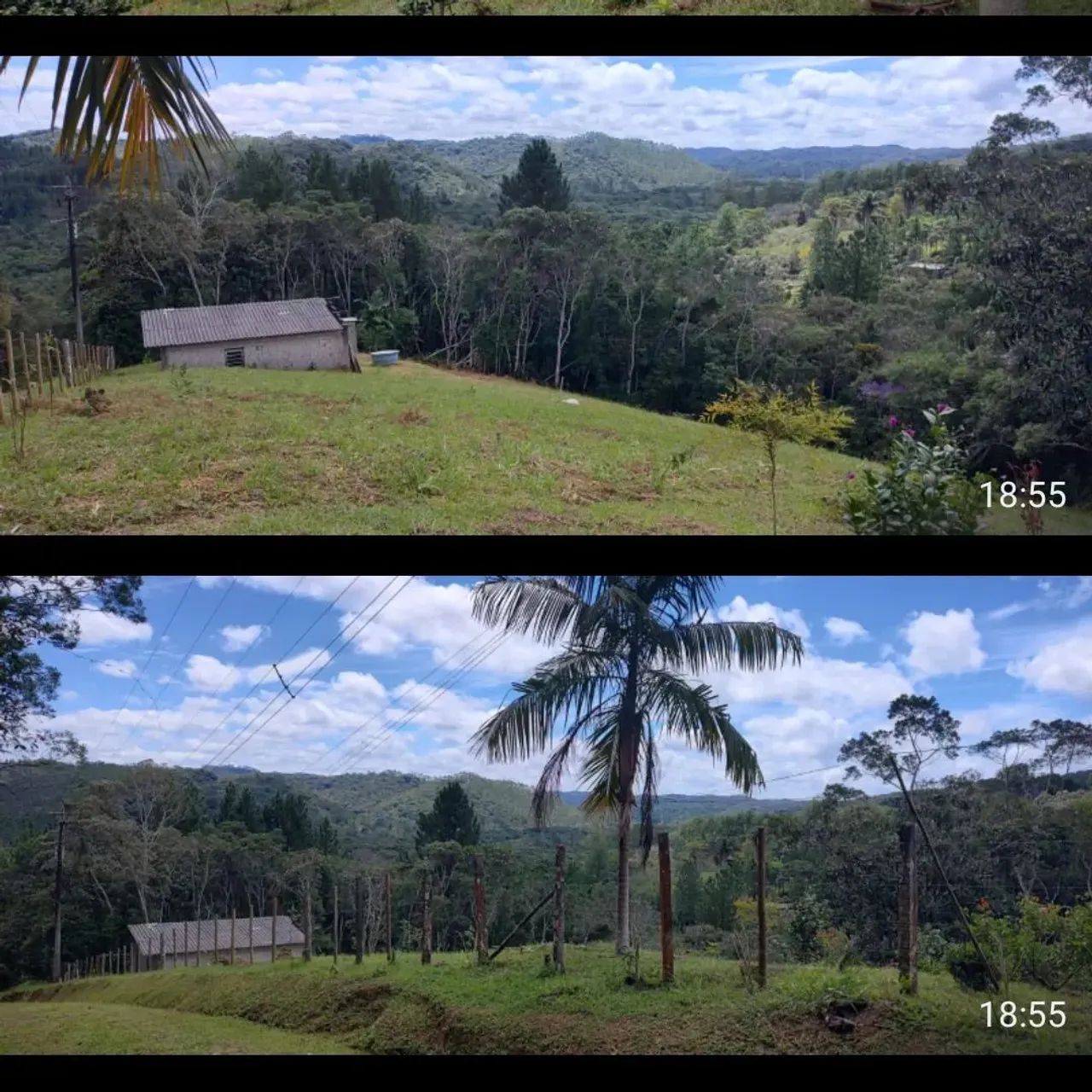 Sítio com casa e pomar em área verde - Foto 5