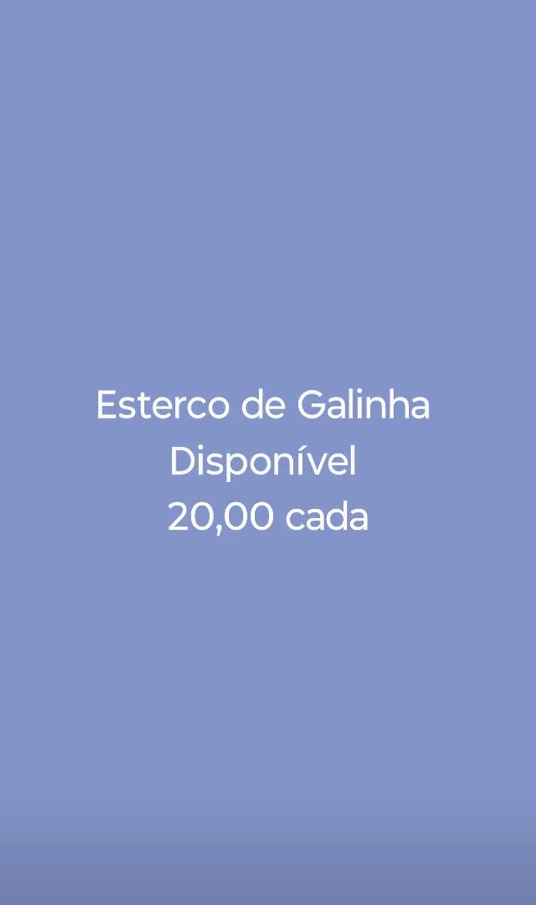 Esterco de Galinha