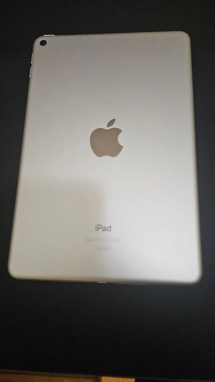 iPad Mini 5 - 64GB - Wi-Fi - Branco - Foto 2