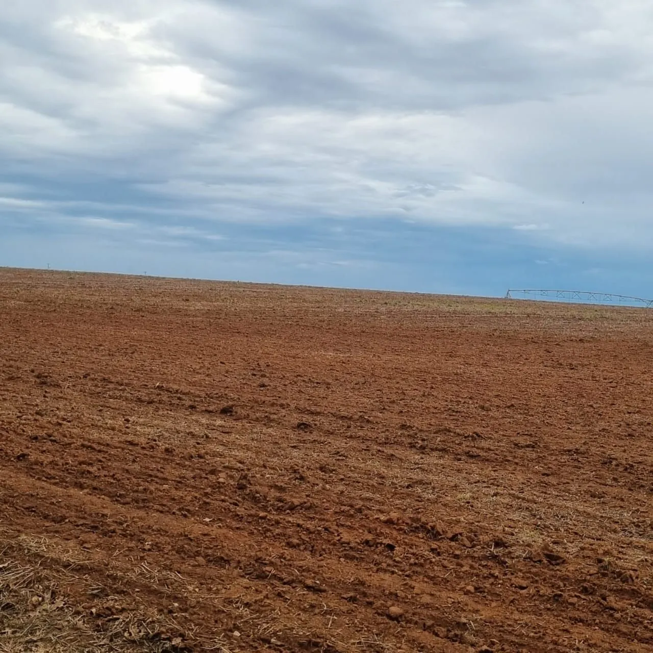 Arendamento para produção de soja milho 2347 hectares 9 sacas de soja Pou hectares