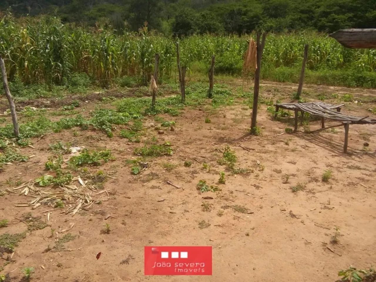 Fazenda para Venda em São Braz do Piauí - Foto 5