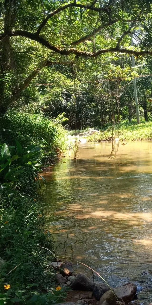 Terreno a venda - Foto 2