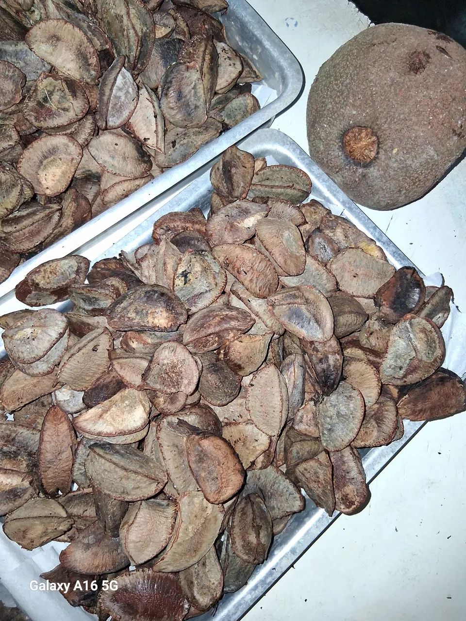 Castanhas graúdas e novas.  - Foto 3