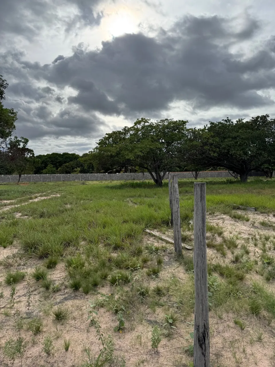 Alugo terreno para depósito.