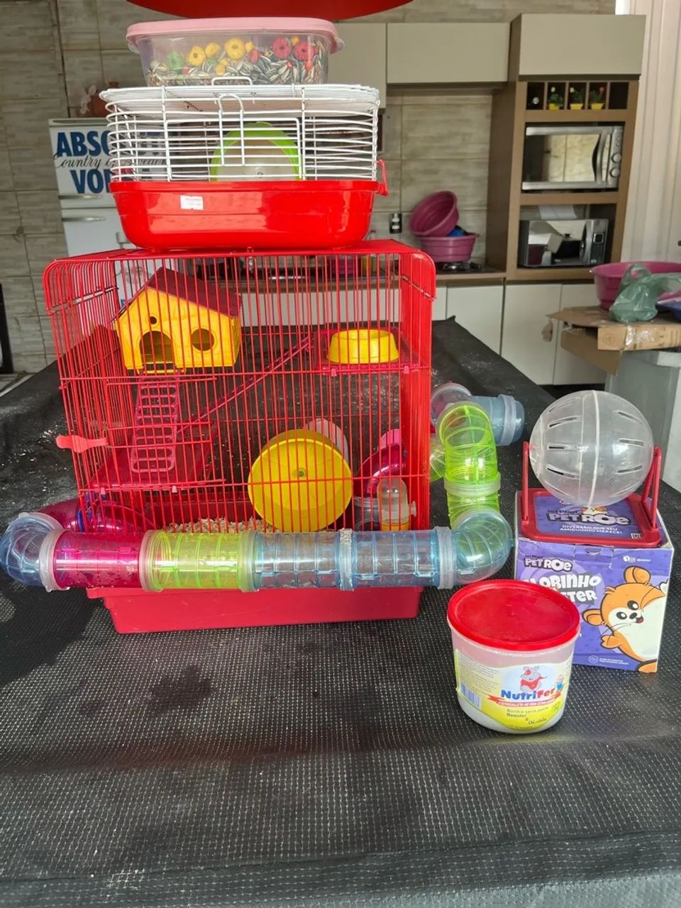 Kit hamster - Foto 2